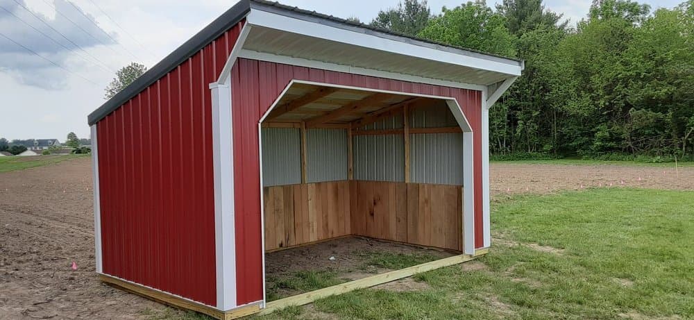 Horse Run In 10 x 16