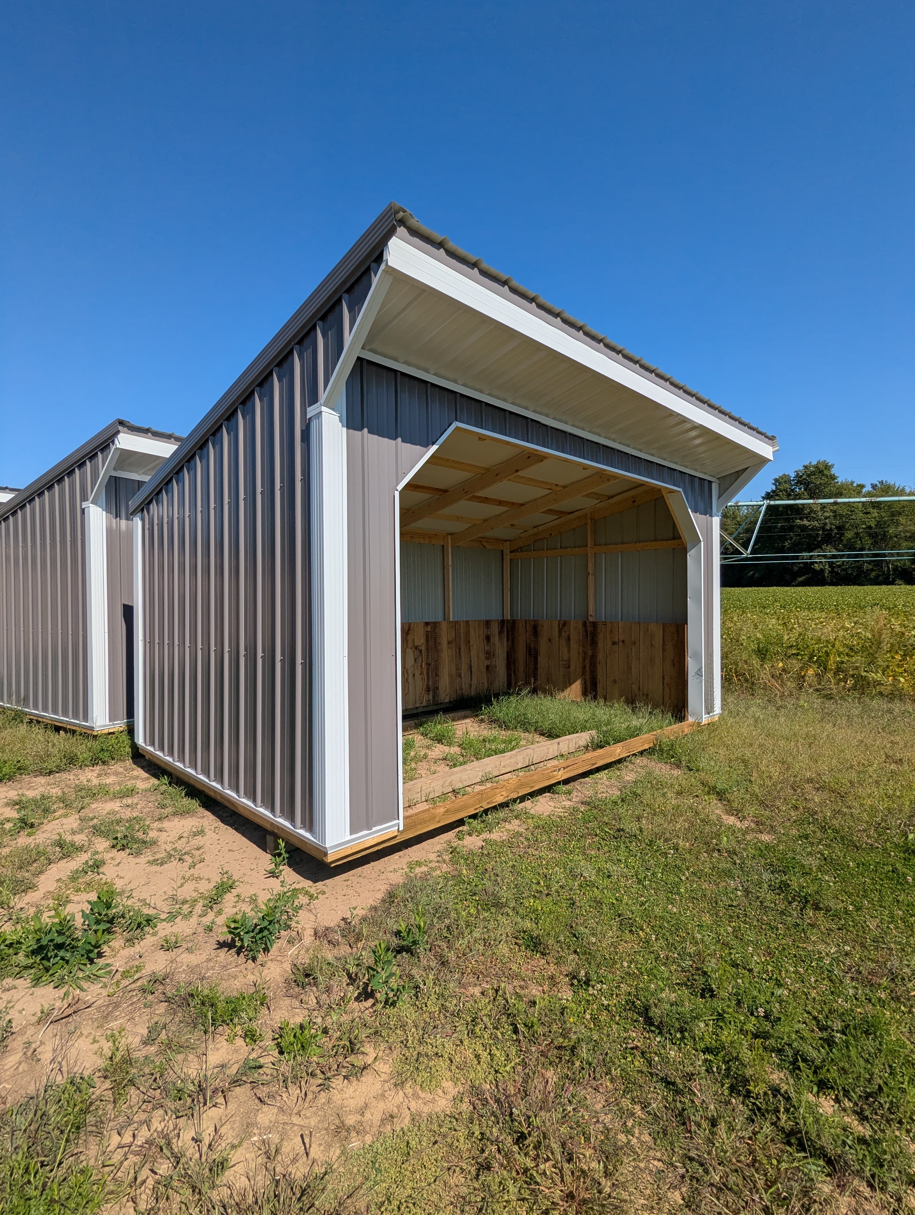 Horse Run In 10 x 16