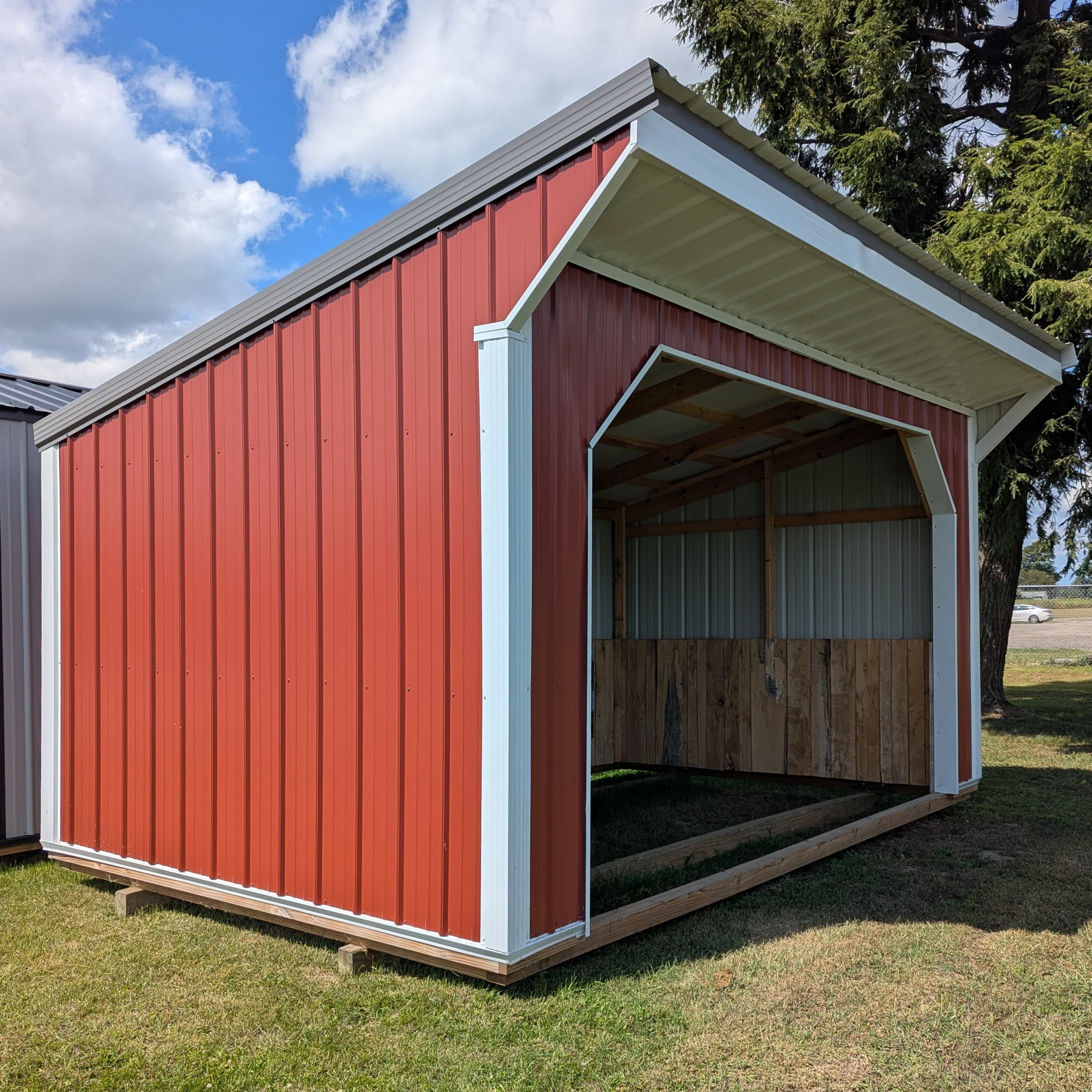 Horse Run In 10 x 16