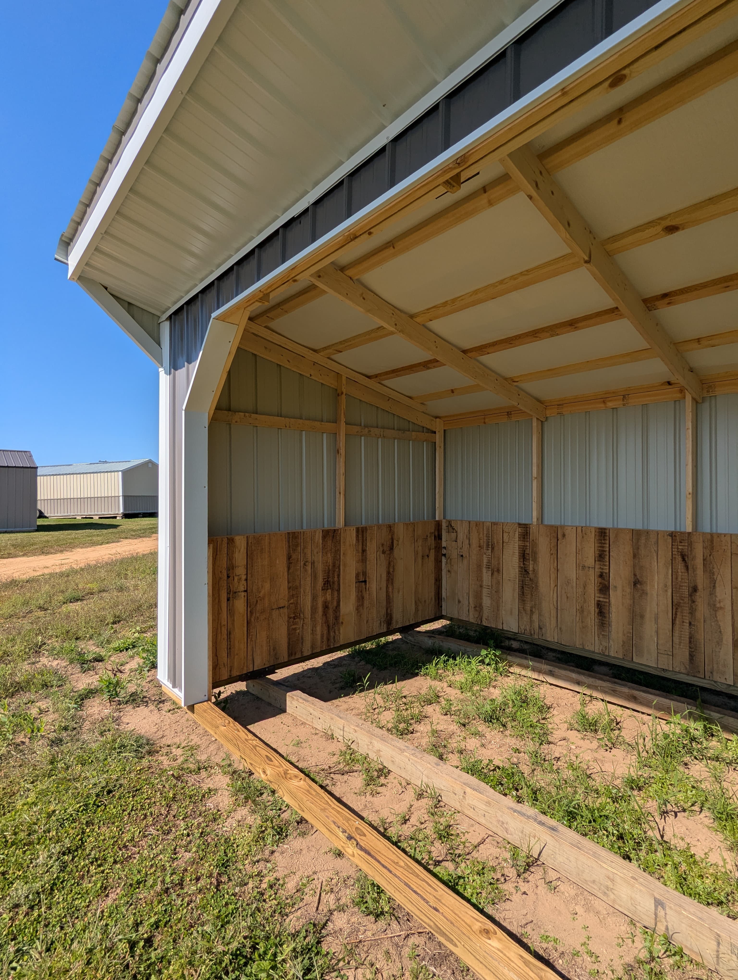 Horse Run In 10 x 16