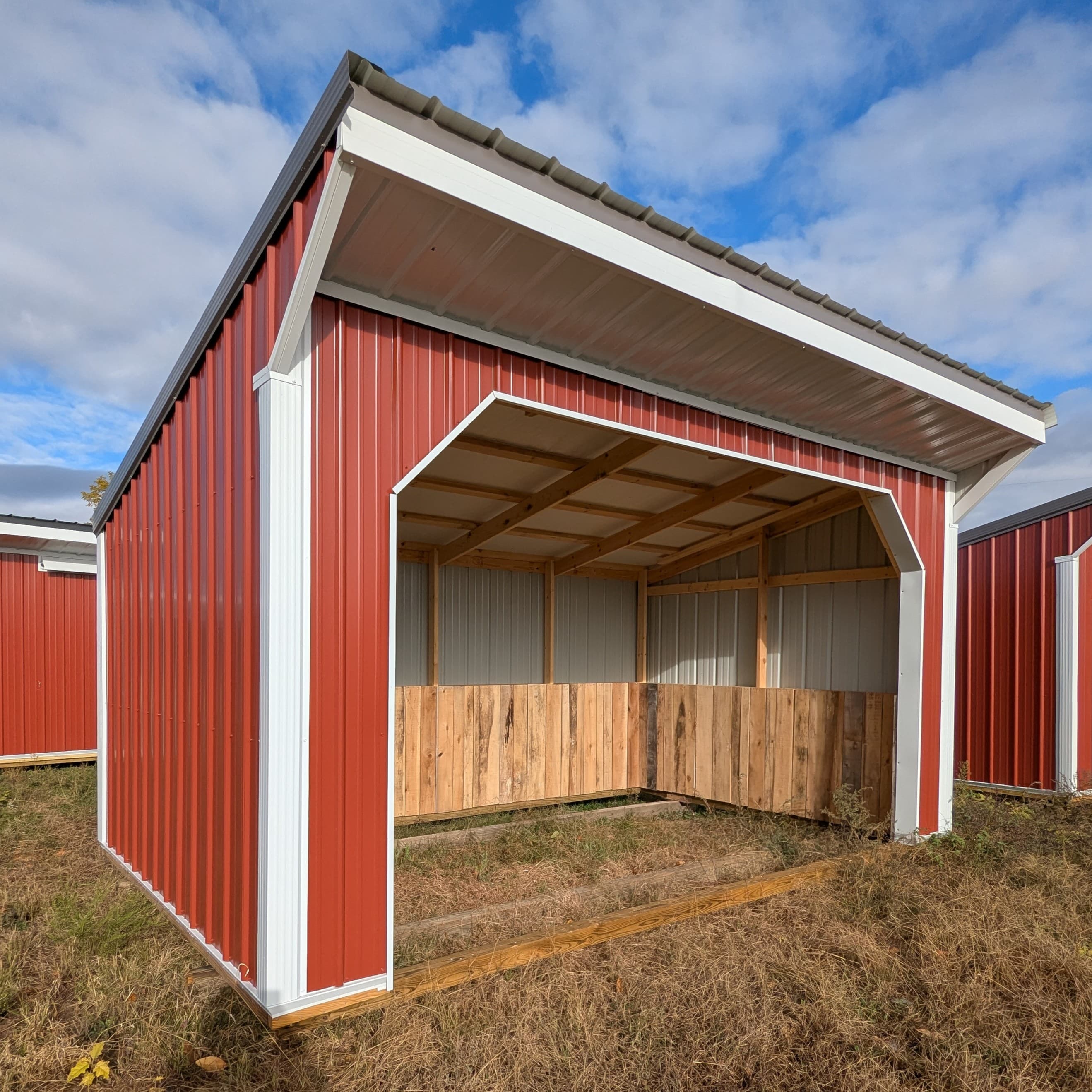 Horse Run In 10 x 16