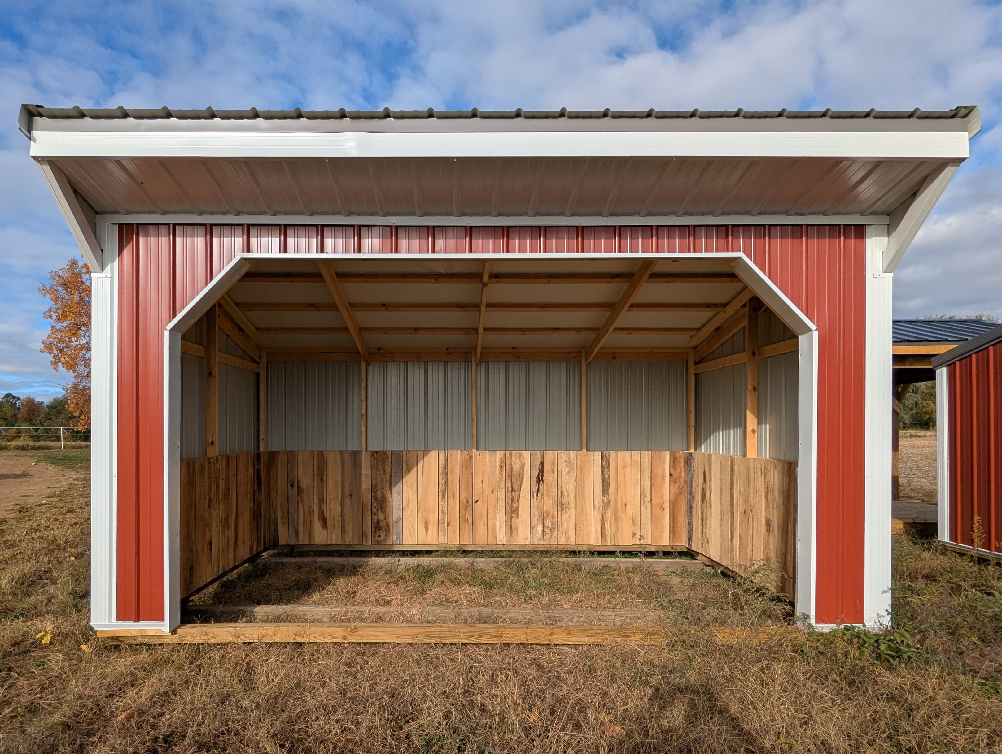 Horse Run In 10 x 16