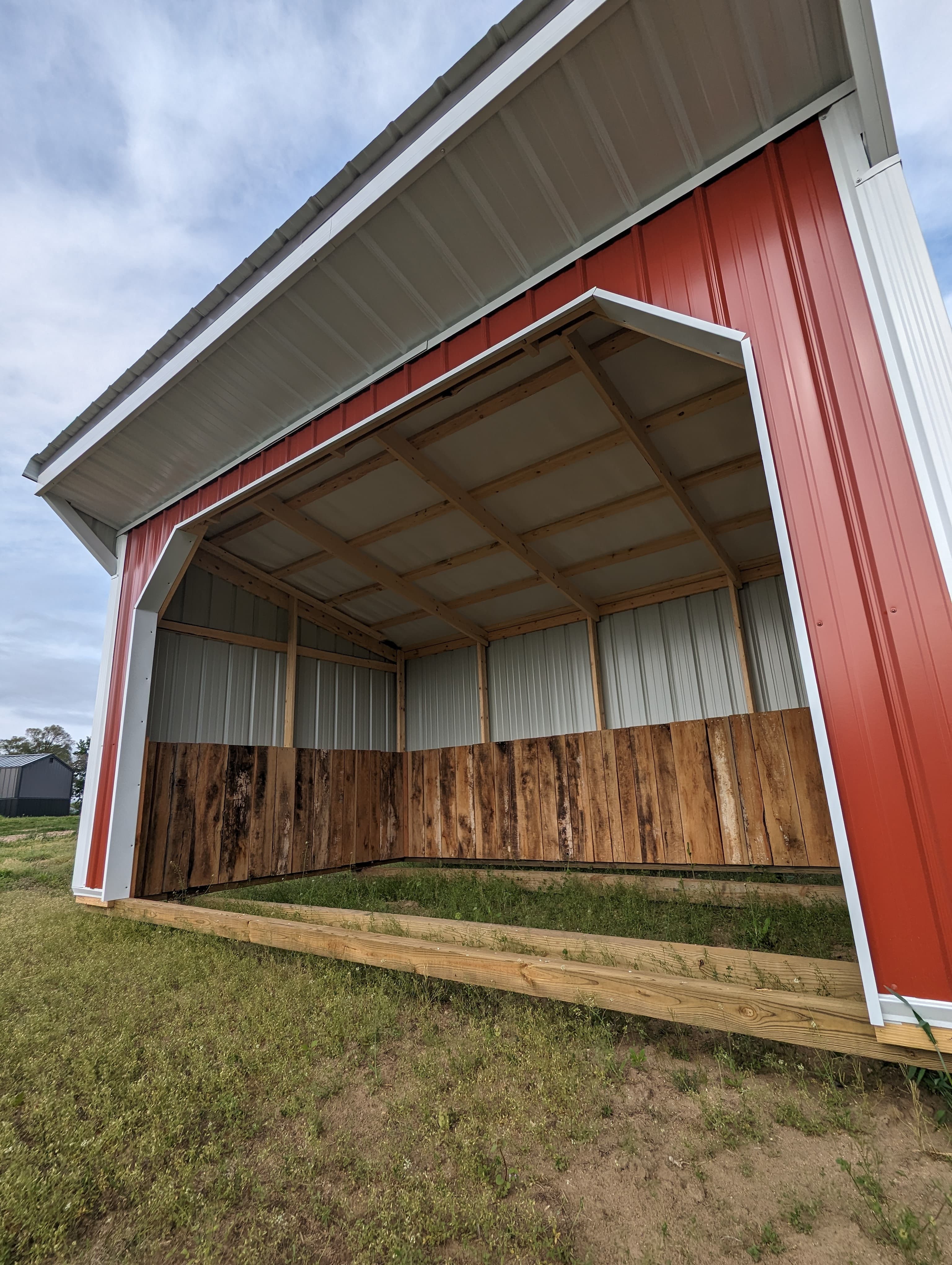 Horse Run In 10 x 16