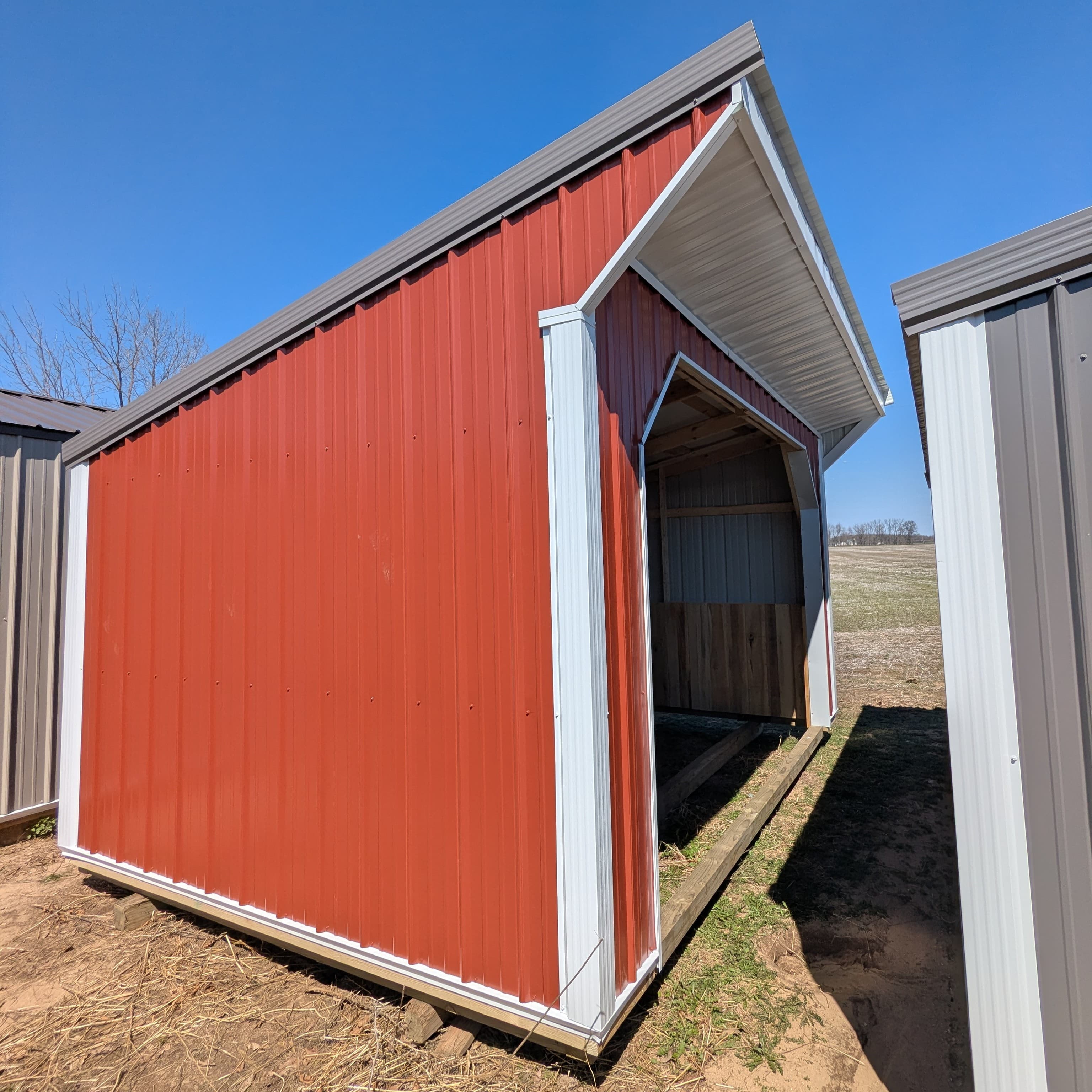 Horse Run In 10 x 16